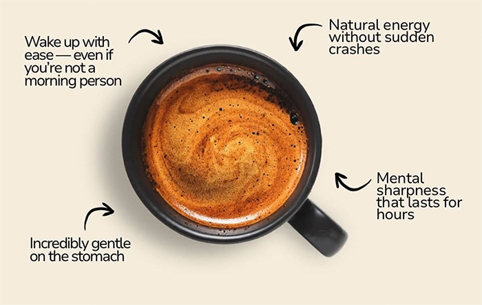 Instagram @mushroomcups